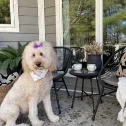 Phi Villa 3-Piece Outdoor Wicker Conversation Set -Phi Villa IMG 7942 1